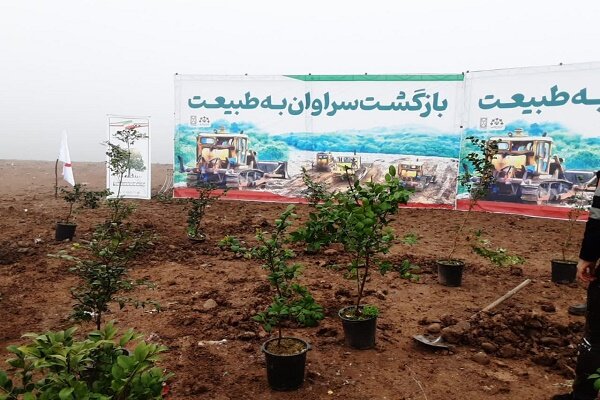 تاسیس نمایشگاه گونههای مختلف هیرکانی در محل لندفیل سراوان