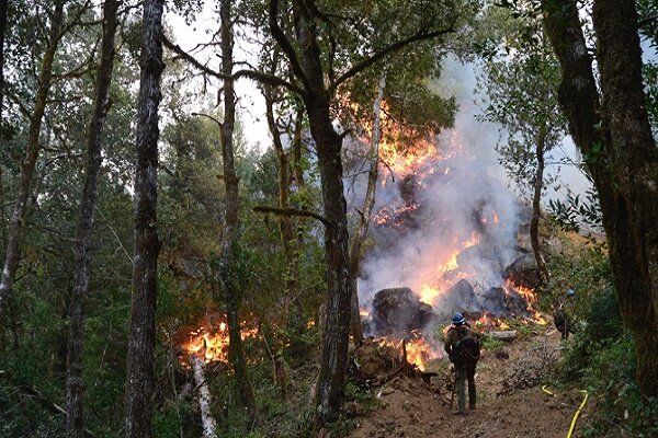 وزش باد گرم شدید در گیلان/ احتمال آتش سوزی جنگل ها به دنبال حضور گردشگران