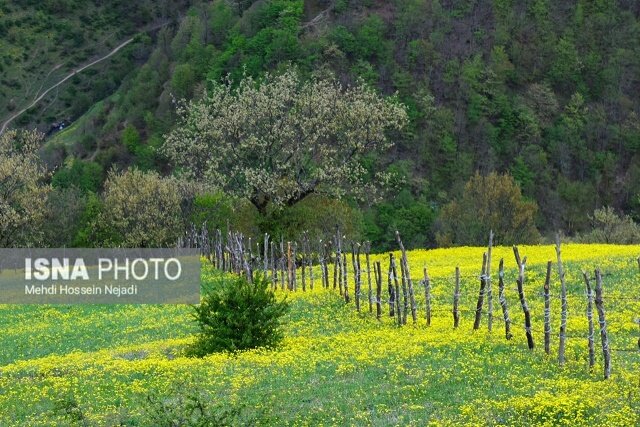 طبیعت بهاری شهرستان مرزی آستارا