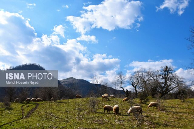 طبیعت بهاری شهرستان مرزی آستارا