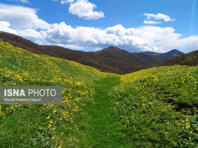 طبیعت بهاری شهرستان مرزی آستارا