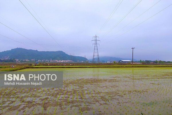 لزوم آماده سازی آب بندان های آستارا برای ذخیره سازی آب زراعی