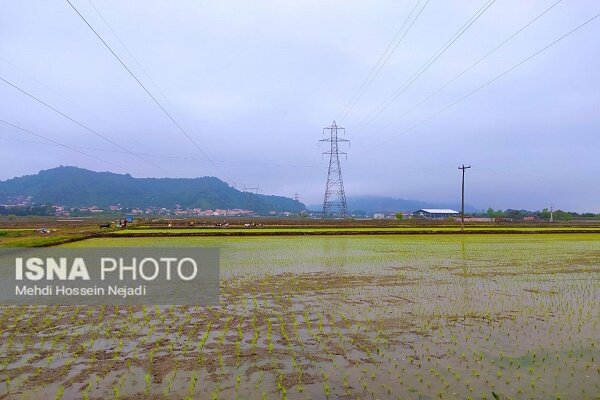 لزوم آماده سازی آب بندان های آستارا برای ذخیره سازی آب زراعی