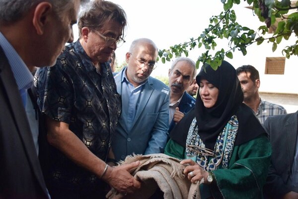 بازدید رئیس شورای جهانی صنایع دستی از روستای ملی گلیم بافی در آستارا + تصاویر