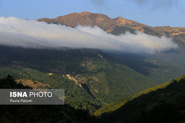 اثرات تغییر اقلیم جهانی بر جنگل های هیرکانی