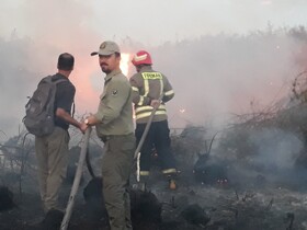 وقوع مجدد آتش سوزی در پارک ملی بوجاق