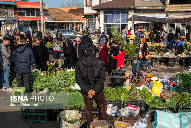 سیاست دولت سیزدهم سنددار کردن اراضی است