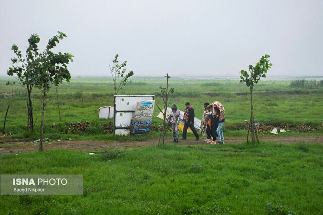 سفرنامه باران در تالاب افسانه ای انزلی