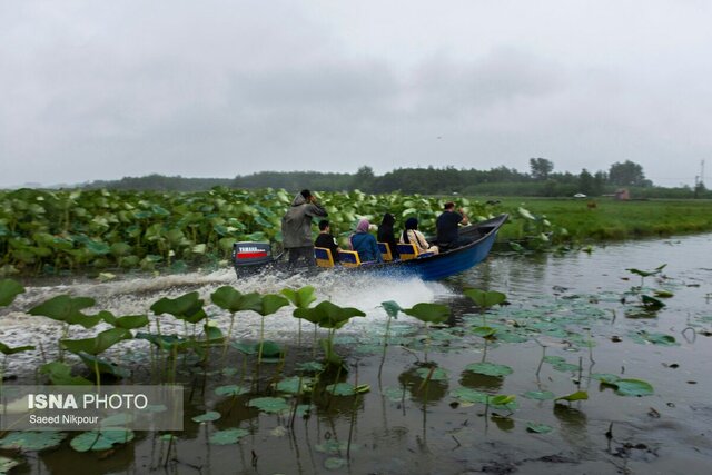 سفرنامه باران در تالاب افسانه ای انزلی