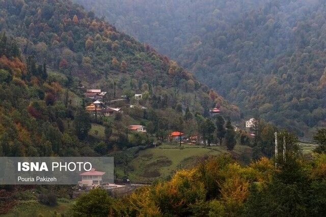 اقتصاد زیست محیطی؛ گامی برای حفظ جنگلهای هیرکانی