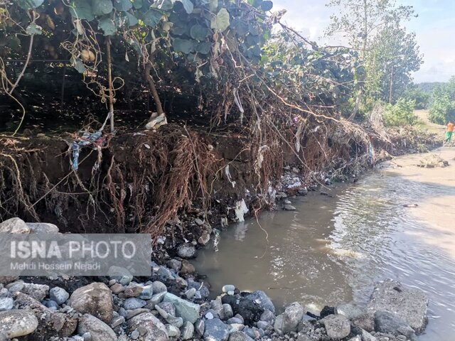 توصیه جهاد کشاورزی آستارا برای جلوگیری از خسارت های بارندگی