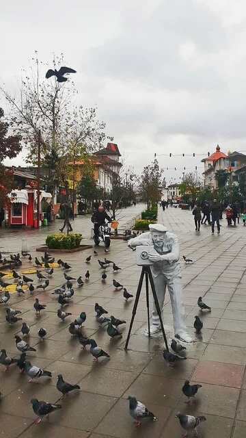 بال زدن پرندگان باعث انتشار بیماریهایی همچون آنفلوانزای فوق حاد پرندگان می شود