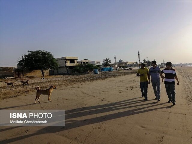 مریم هنوز هم کابوس حمله سگهای بلاصاحب را دارد