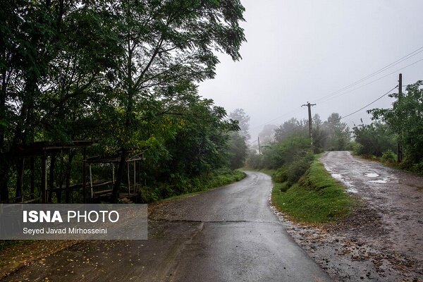 عکس تزئینی ست سمنانیها در انتظار روزهای بارانی / هشدار پلیس درباره رانندگی با سرعت
