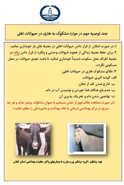 ۷۴۹ مورد سگگزیدگی در بندر انزلی/گزشها معمولا حین نوازش و یا غذا دادن بوده است