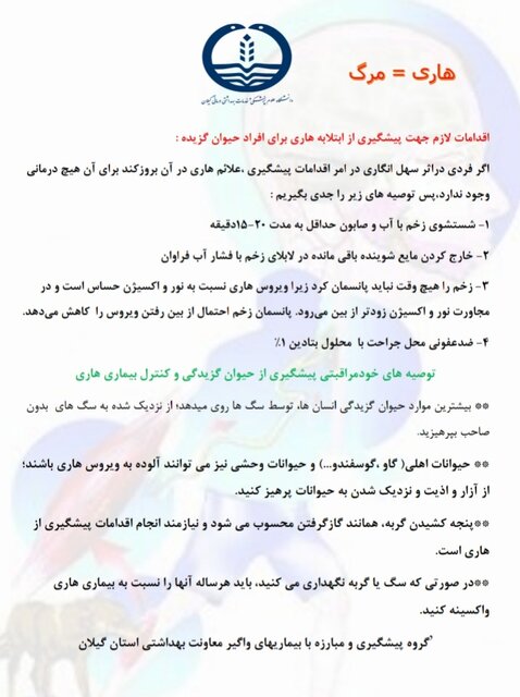 ۷۴۹ مورد سگگزیدگی در بندر انزلی/گزشها معمولا حین نوازش و یا غذا دادن بوده است