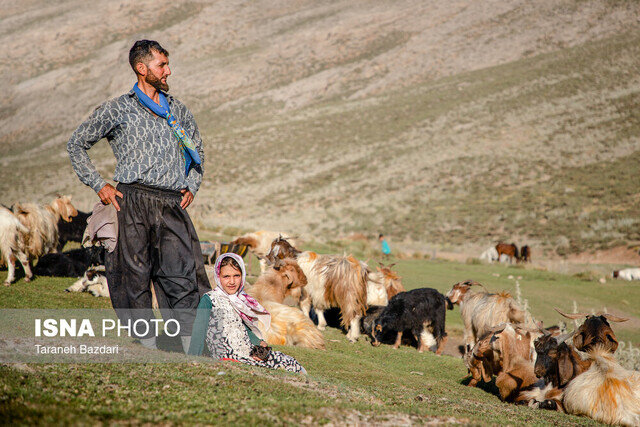 ۵۰۰۰ گیلانی از صندوق بیمه اجتماعی روستاییان و عشایر مستمری دریافت می کنند