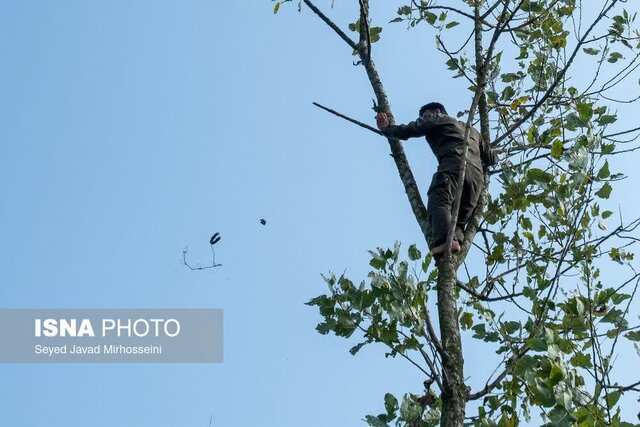مجوز شکار پرندگان صادر نشده و شکار ممنوع است/هر محیطبان به جای چند نفر کار می کند