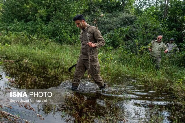 مجوز شکار پرندگان صادر نشده و شکار ممنوع است/هر محیط‌بان به جای چند نفر کار می کند