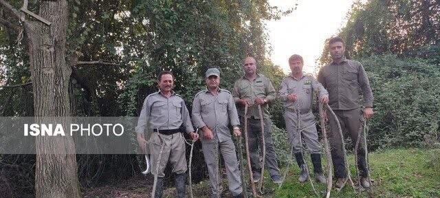 مجوز شکار پرندگان صادر نشده و شکار ممنوع است/هر محیطبان به جای چند نفر کار می کند