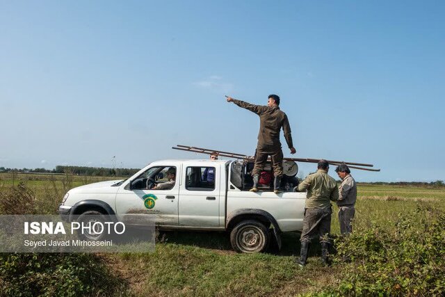مجوز شکار پرندگان صادر نشده و شکار ممنوع است/هر محیطبان به جای چند نفر کار می کند