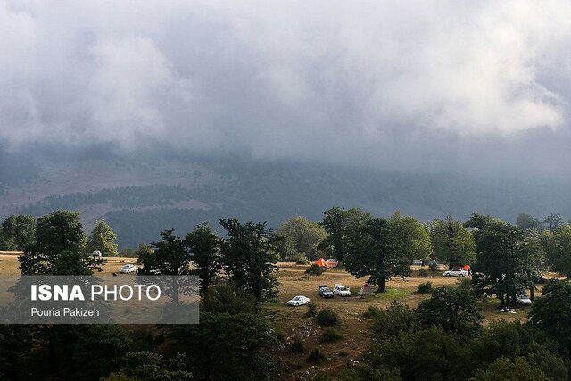 ایستاده در هیرکانی/ جنگل منتظر ماست