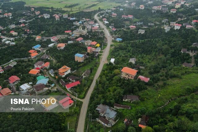 ایستاده در هیرکانی/ جنگل منتظر ماست