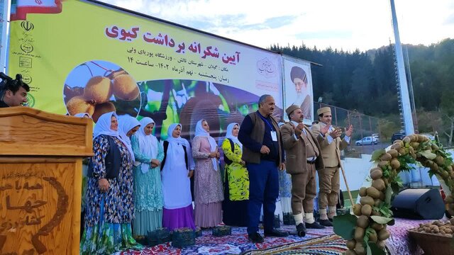 راه اندازی مرکز تحقیقات کیوی در تالش ضروری است