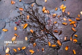 کاهش ۵ تا ۱۰ درجه ای دمای گیلان/ در ارتفاعات برف می بارد