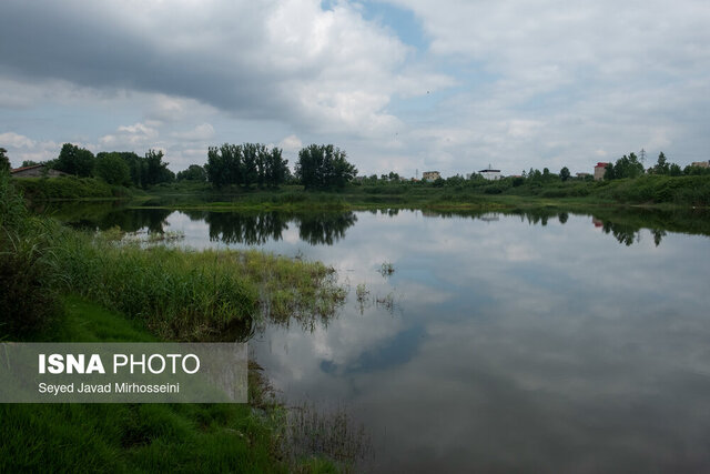 وقتی آفتاب بر عینک و ماهی ها می تابد