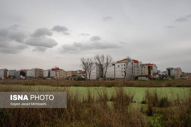 وقتی آفتاب بر عینک و ماهی ها می تابد