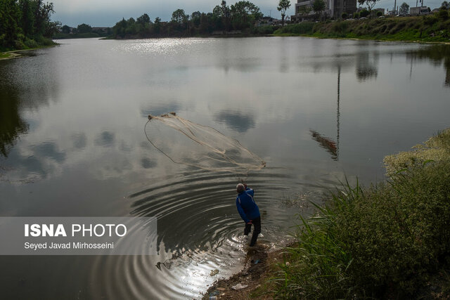 وقتی آفتاب بر عینک و ماهی ها می تابد