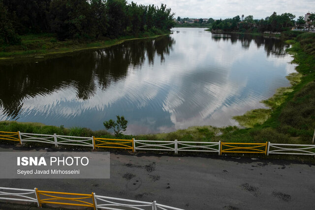 وقتی آفتاب بر عینک و ماهی ها می تابد