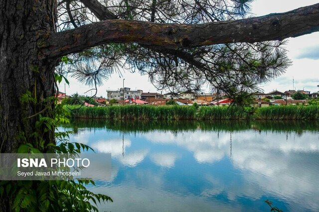 وقتی آفتاب بر عینک و ماهی ها می تابد