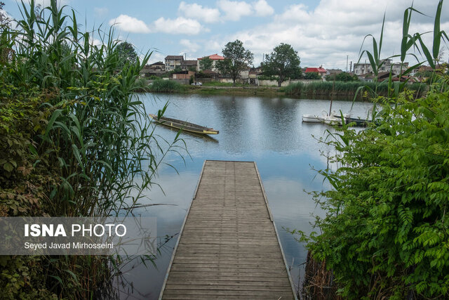 وقتی آفتاب بر عینک و ماهی ها می تابد