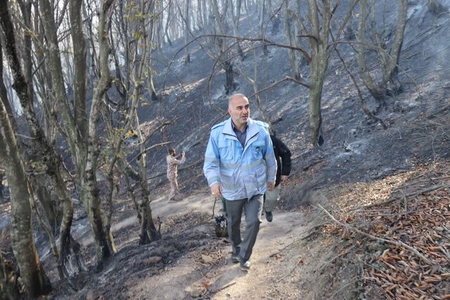 جنگلهای آغوزبن همچنان در آتش میسوزد