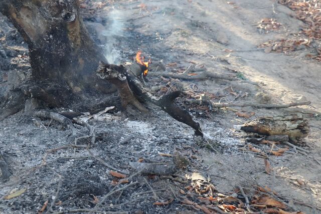 جنگل‌های آغوزبن همچنان در آتش می‌سوزد