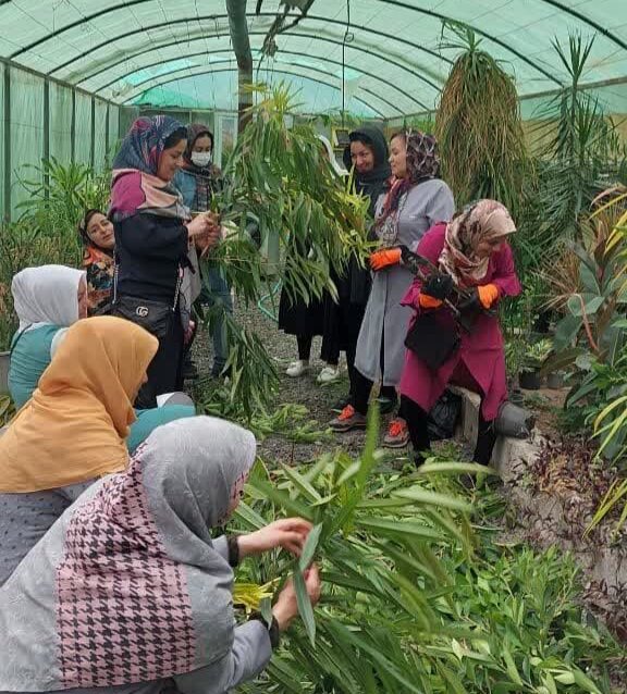 ارائه بیش از ۳۸۶ هزار نفر ساعت آموزش مهارتی در بندرانزلی