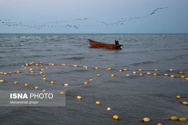 باران که میبارد، مالا دل به دریا نمیزند