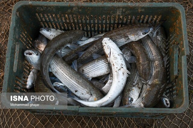باران که میبارد، مالا دل به دریا نمیزند