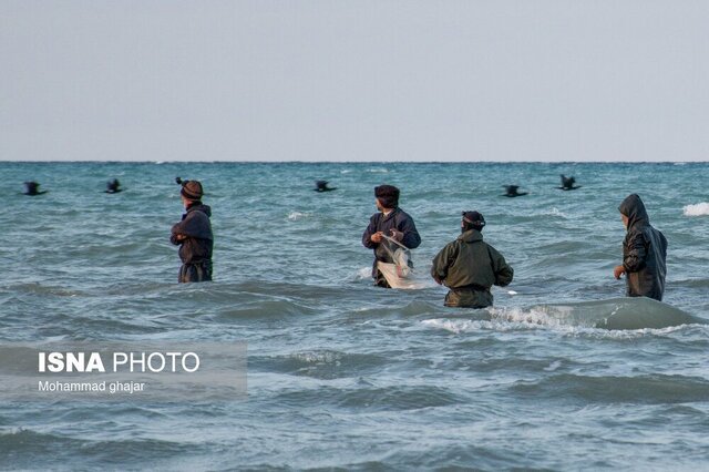 باران که میبارد، مالا دل به دریا نمیزند