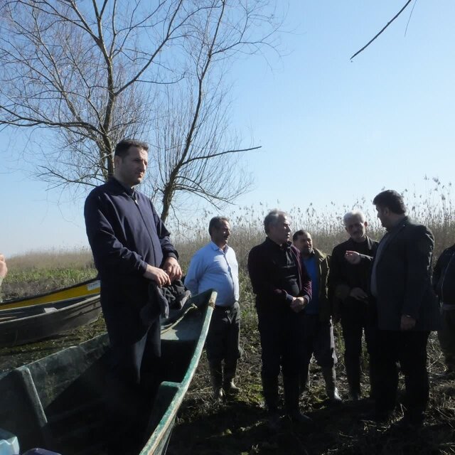 پاکسازی شرق تالاب بینالمللی انزلی از سنبل آبی