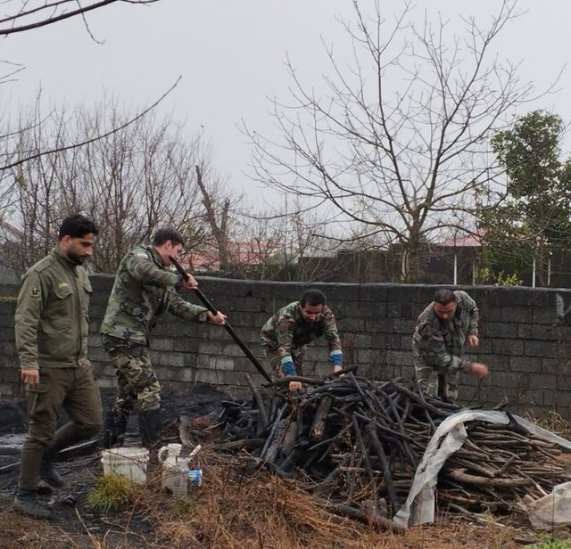 پلمب کارگاههای چوببری غیر مجاز در آستارا