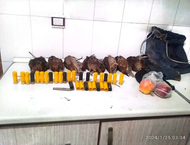 کشف ۳۳ قبضه سلاح از متخلفین در ماسال