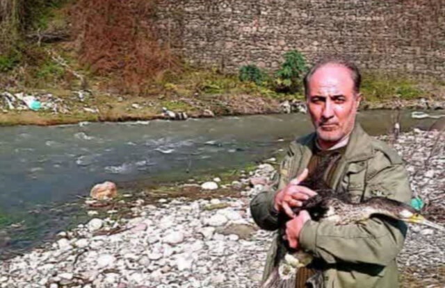 باکلان بزرگ و سارگپه به زیستگاه خود بازگشتند