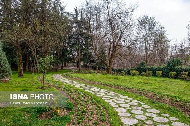 رشت نیازمند حفظ پهنههای سبز در فضاهای شهری است