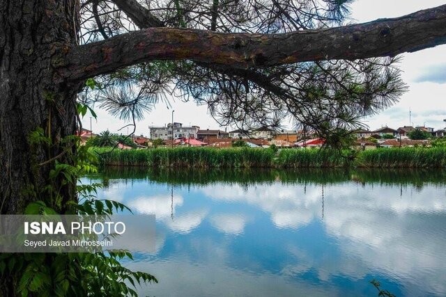 رشت نیازمند حفظ پهنههای سبز در فضاهای شهری است