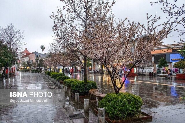 رشت نیازمند حفظ پهنههای سبز در فضاهای شهری است