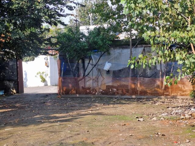 وقتی «لب آب» راهی جدید میگشاید