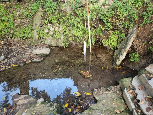 چشمه های جوشان رشت و آبی که هرز می رود